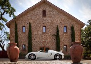 Bugatti Veyron Pur Sang